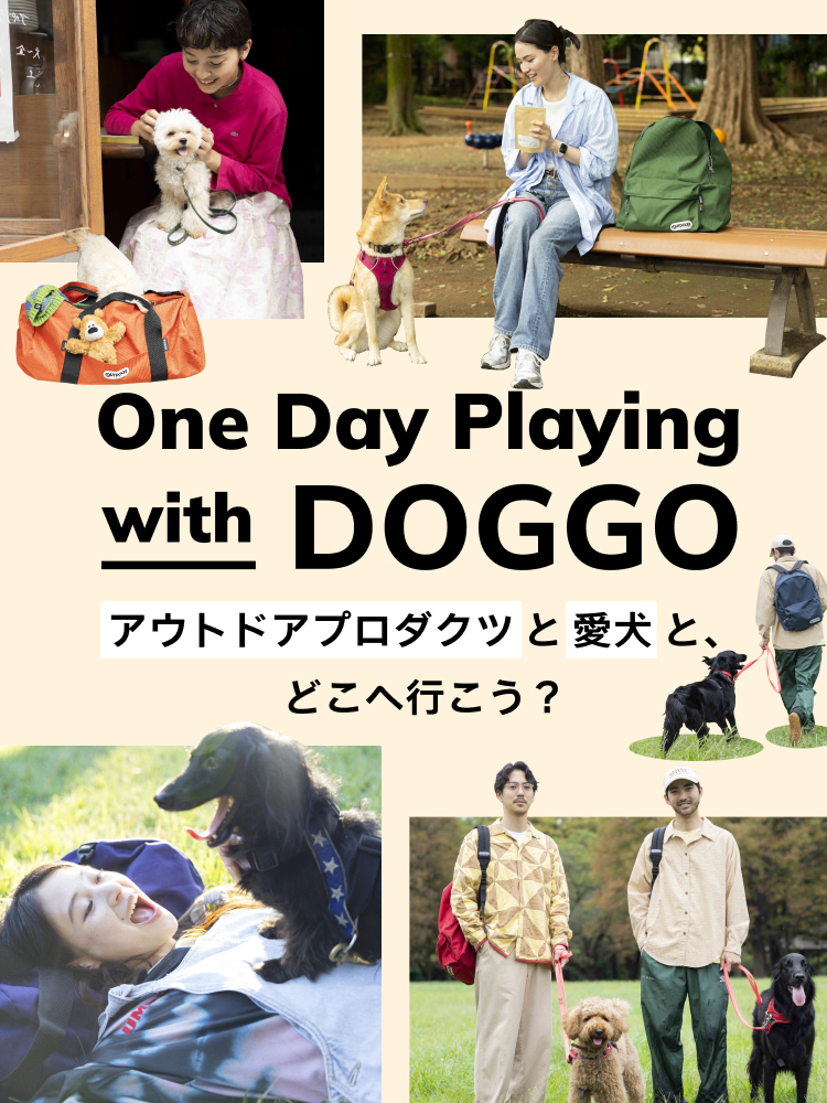 One Day Playing with Doggo